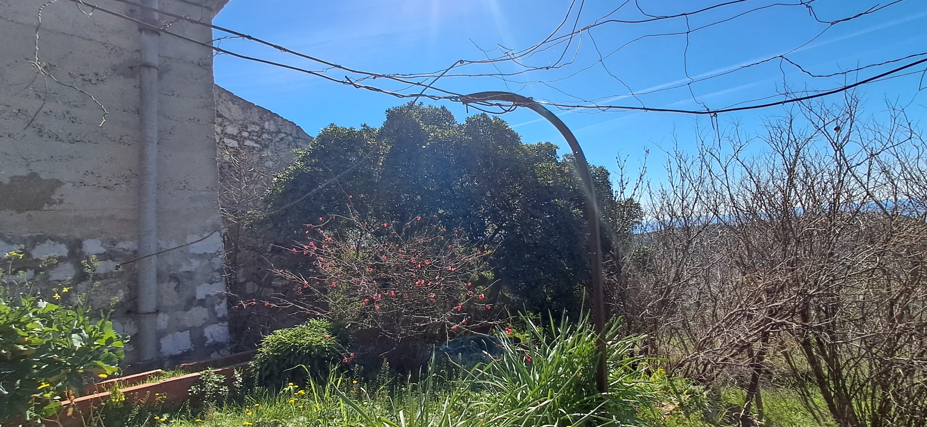 Otvoren pogled ispred kuće s pogledom na prirodu na Šipanu
